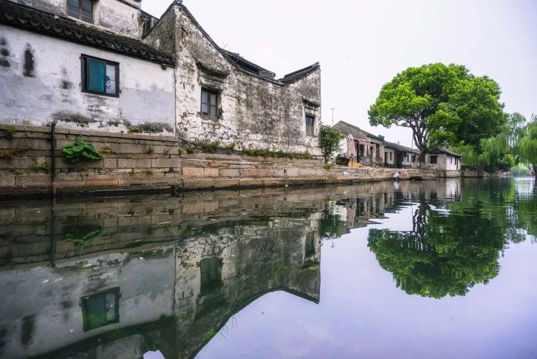 救援鹦鹉